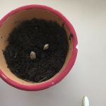 img_3e55aa41de8a-4
